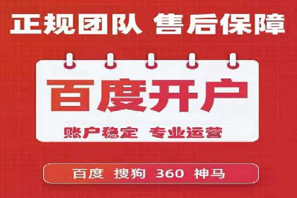 SEO百度推广策略：成功案例解析